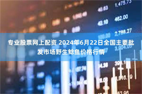 专业股票网上配资 2024年6月22日全国主要批发市场野生鲶鱼价格行情