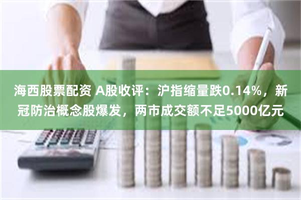 海西股票配资 A股收评：沪指缩量跌0.14%，新冠防治概念股爆发，两市成交额不足5000亿元