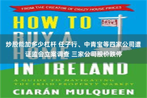 炒股能加多少杠杆 任子行、中青宝等四家公司遭证监会立案调查 三家公司股价跌停