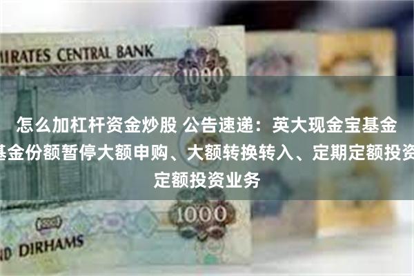 怎么加杠杆资金炒股 公告速递：英大现金宝基金B类基金份额暂停大额申购、大额转换转入、定期定额投资业务