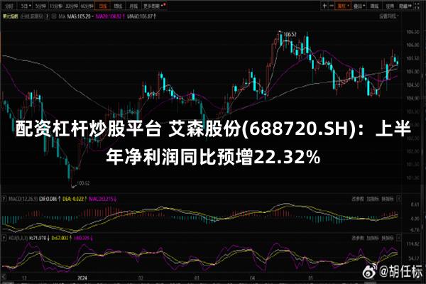 配资杠杆炒股平台 艾森股份(688720.SH)：上半年净利润同比预增22.32%