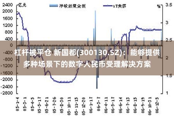 杠杆被平仓 新国都(300130.SZ)：能够提供多种场景下的数字人民币受理解决方案