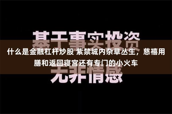 什么是金融杠杆炒股 紫禁城内杂草丛生，慈禧用膳和返回寝宫还有专门的小火车