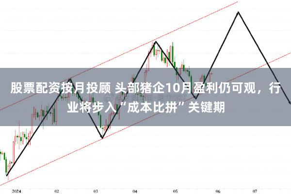 股票配资按月投顾 头部猪企10月盈利仍可观，行业将步入“成本比拼”关键期