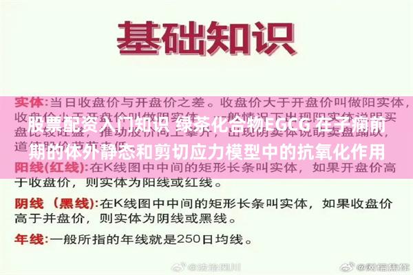 股票配资入门知识 绿茶化合物EGCG 在子痫前期的体外静态和剪切应力模型中的抗氧化作用