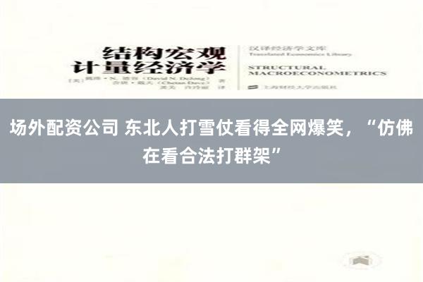 场外配资公司 东北人打雪仗看得全网爆笑，“仿佛在看合法打群架”