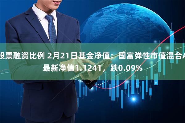 股票融资比例 2月21日基金净值：国富弹性市值混合A最新净值1.1241，跌0.09%