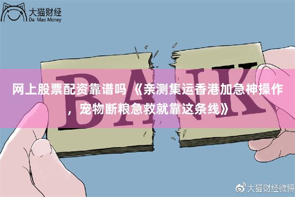 网上股票配资靠谱吗 《亲测集运香港加急神操作，宠物断粮急救就靠这条线》